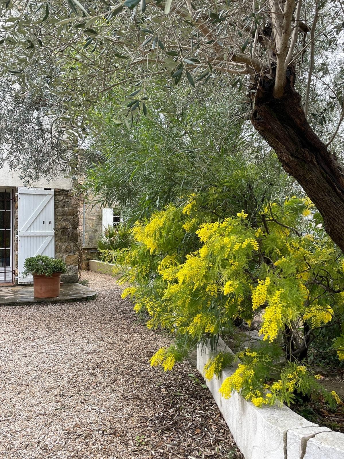 Villa Notre Dame des Fleurs, Grasse