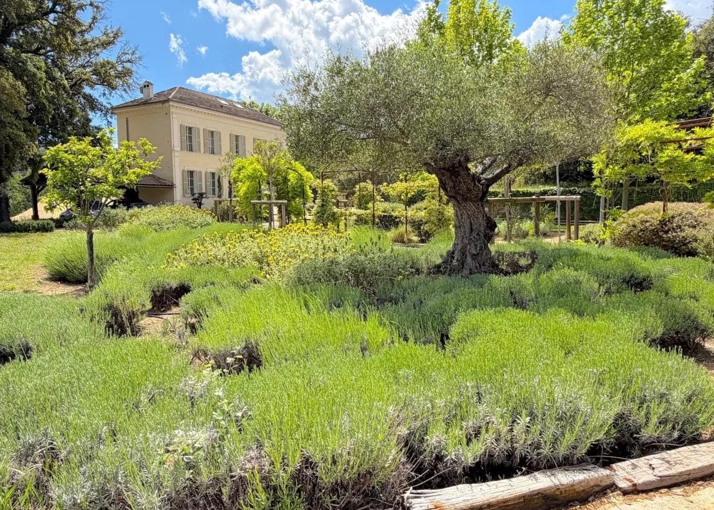 Domaine d'Argens, Le Thoronet